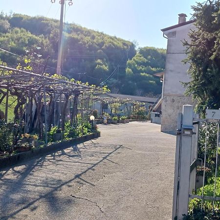 La Torretta - Incantevole Appartamento Nei Colli Berici Nanto المظهر الخارجي الصورة