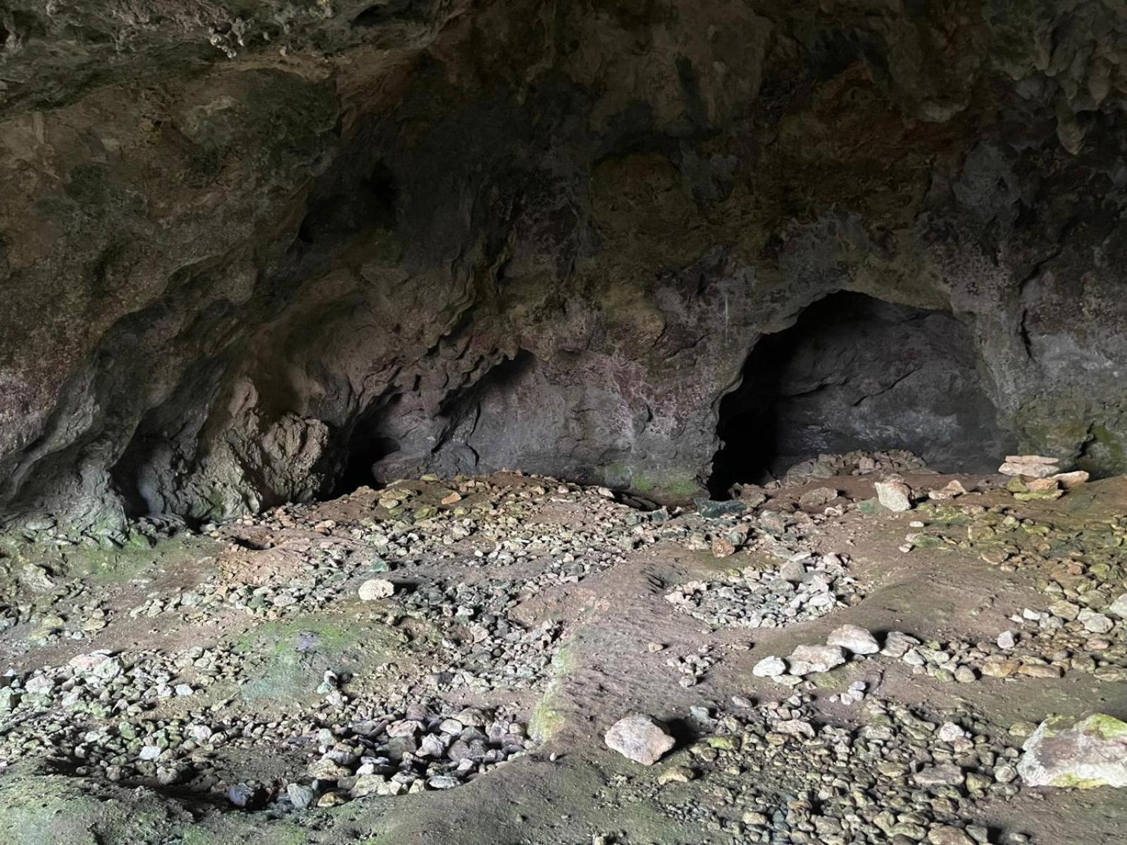 La Torretta - Incantevole Appartamento Nei Colli Berici Nanto المظهر الخارجي الصورة
