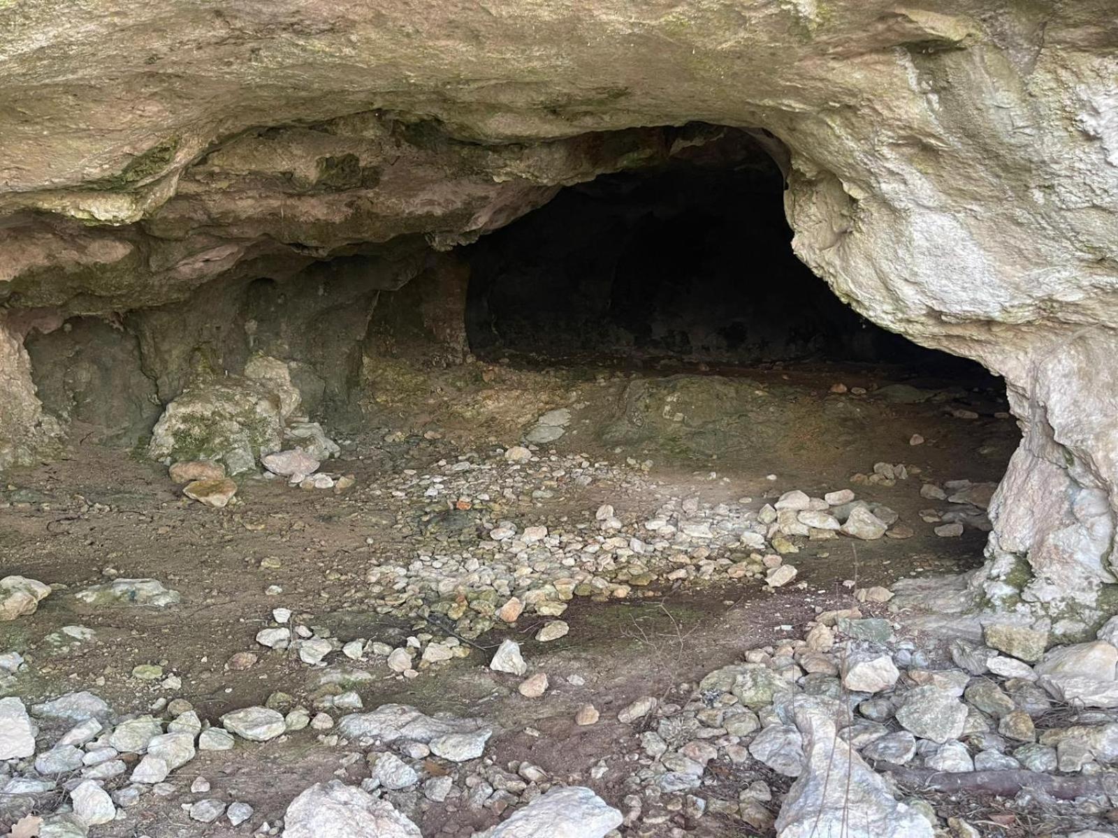 La Torretta - Incantevole Appartamento Nei Colli Berici Nanto المظهر الخارجي الصورة