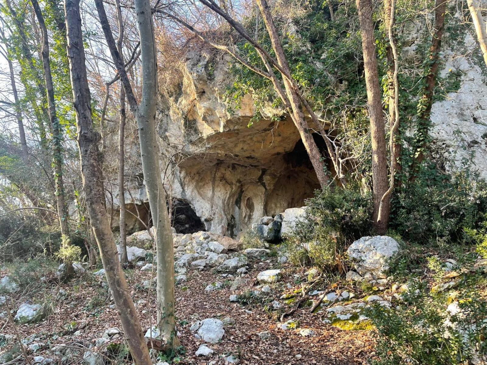 La Torretta - Incantevole Appartamento Nei Colli Berici Nanto المظهر الخارجي الصورة